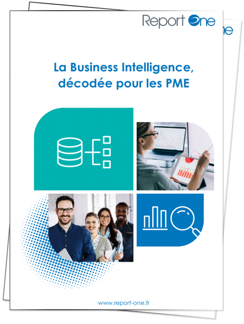 Apercu Livre Blanc | La Business Intelligence décodée pour les PME